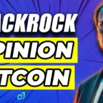 BlackRock CEO's Optimistic Opinion for Bitcoin